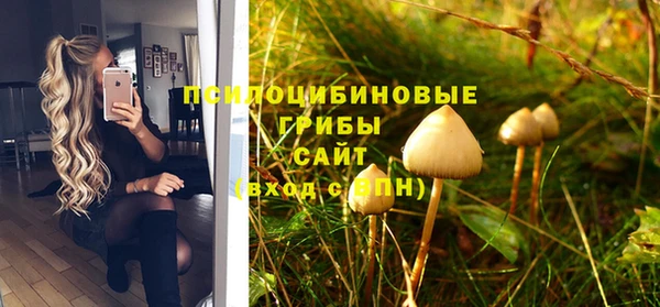 бутират Мегион