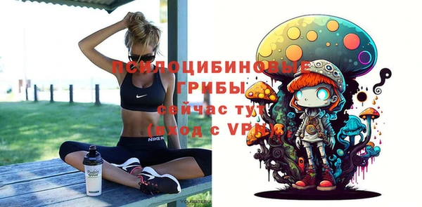 бутират Мегион