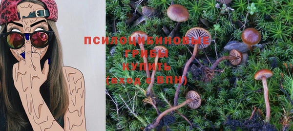 jwh Медногорск